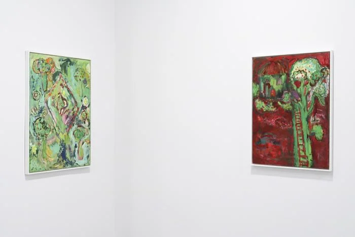 White Columns, Installation view, NYC