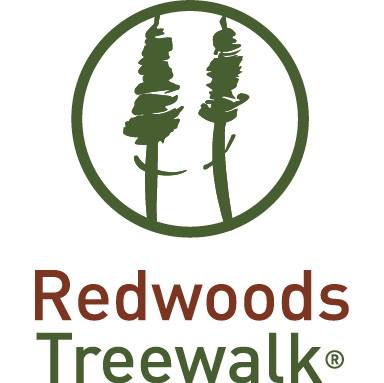 Redwoods Treewalk.jpg