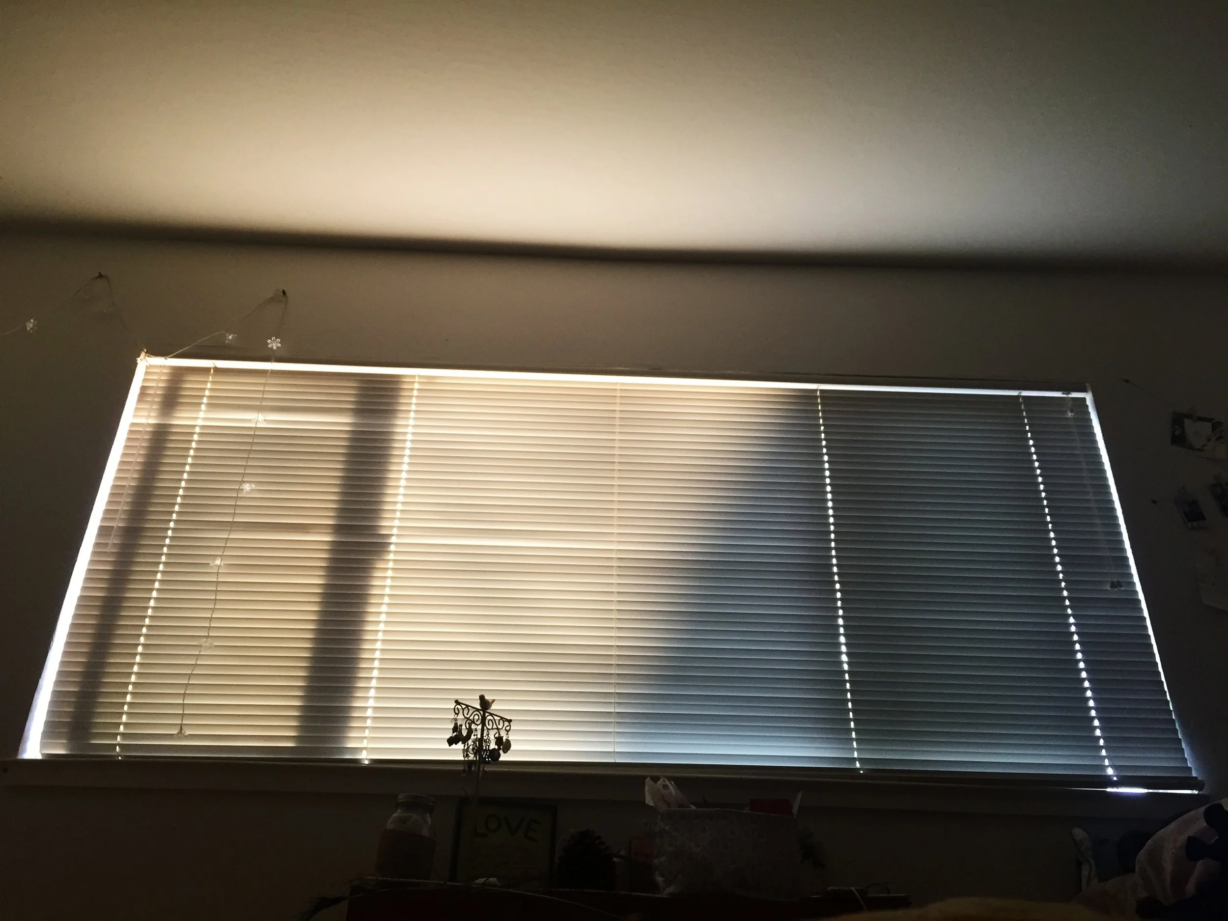 29296201680_53cef22c1a_o.jpg