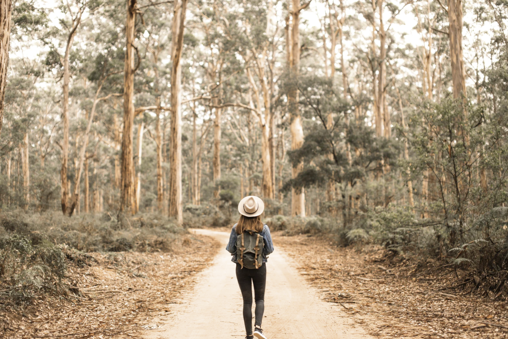 5 Gentle Steps for Creatives in the Messy Middle