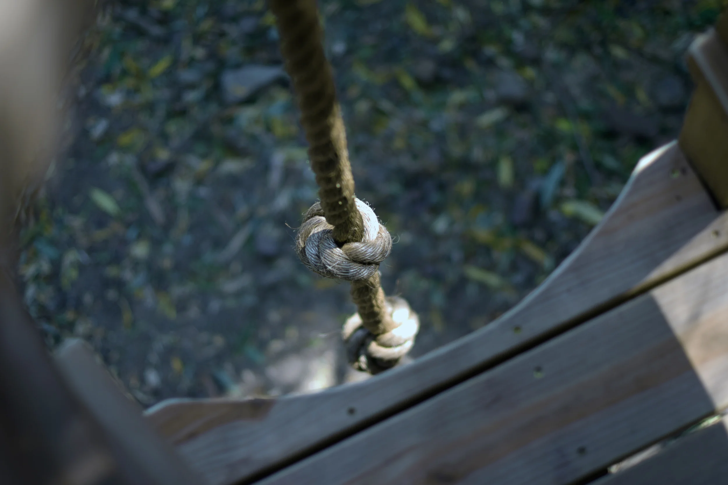 Willow 15.jpg