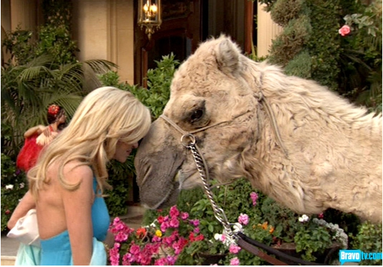 So... When can I start planning?