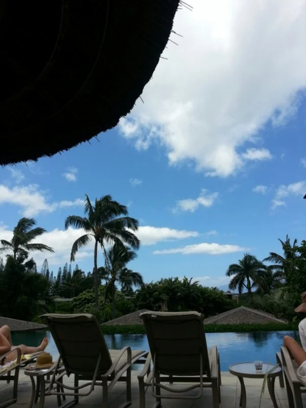 Newlywed Life: I'm a Survivor