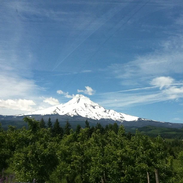The Life of an Oregonian Coordination Intern
