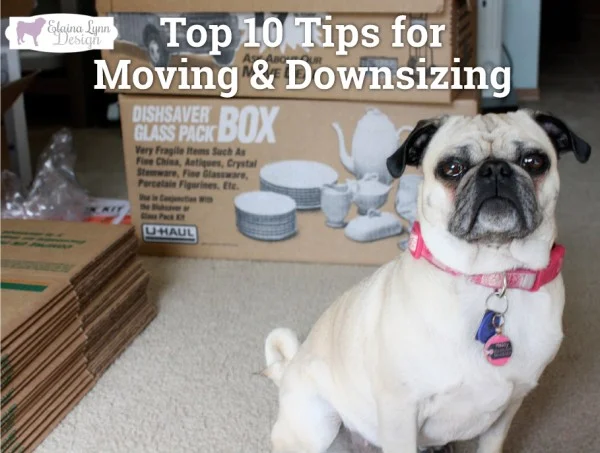Top 10 Tips for Moving & Downsizing