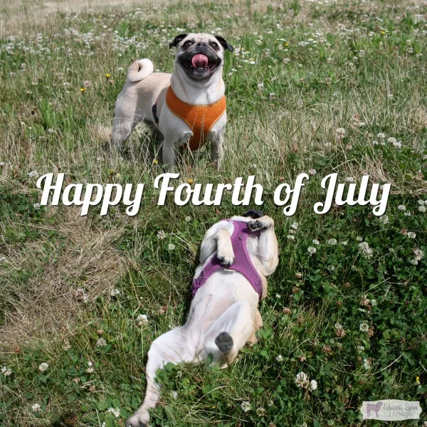 Pugs of July