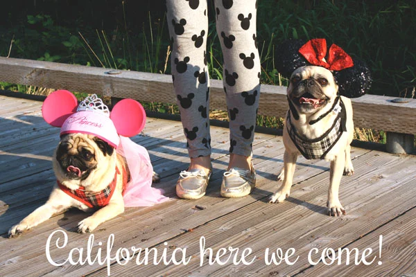 California Here We Come!