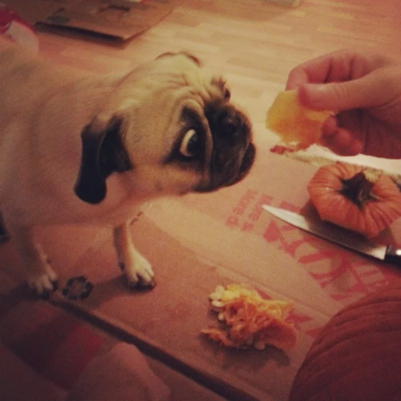 Weekend Snapshots: Halloween Edition