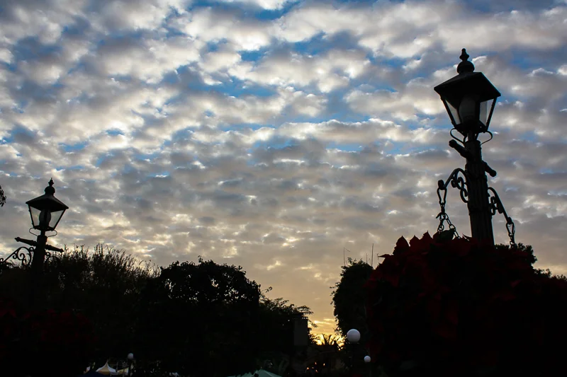 Wordless Wednesday: Escaping the Real World