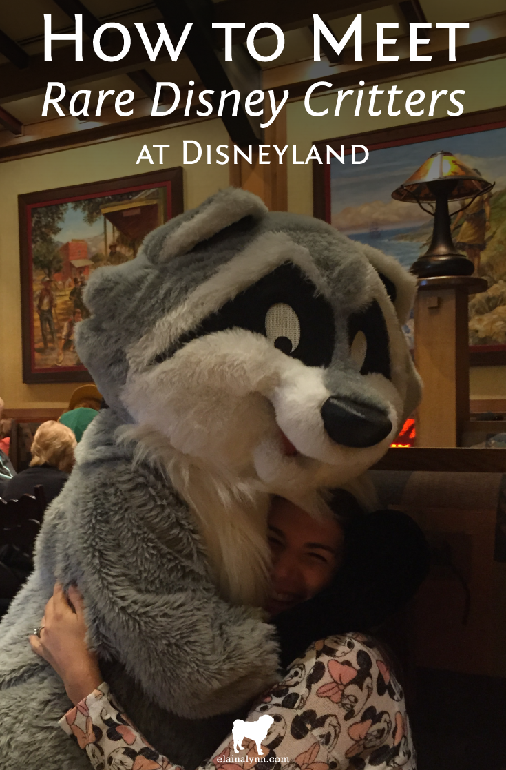 How to Meet Rare Disney Critters at Disneyland