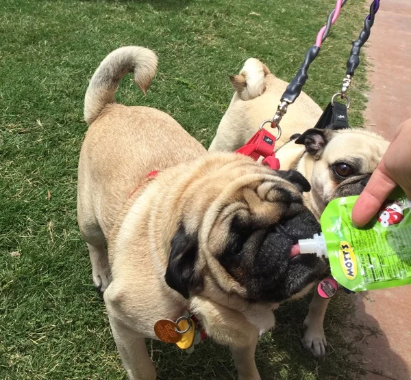 Adventures Lately #1