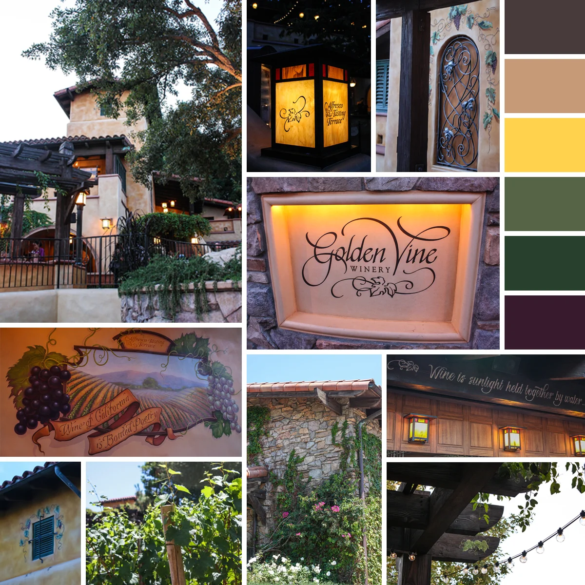 Celebrating at Wine Country in Disney California Adventure