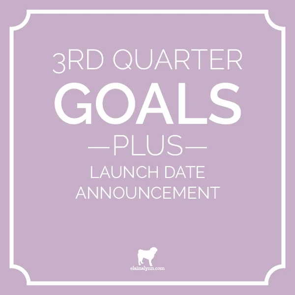 Launch Date + Q3 2015 Goals