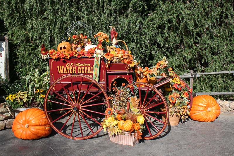 HalloweenDecor-14.jpg
