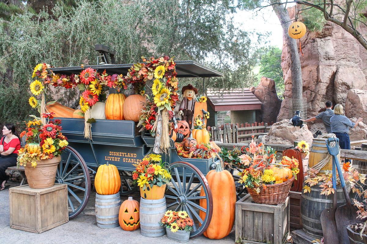 Big Thunder Ranch at Disneyland - Enchanted Type