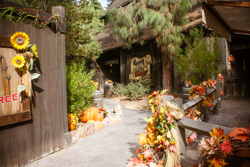Big Thunder Ranch at Disneyland - Enchanted Type
