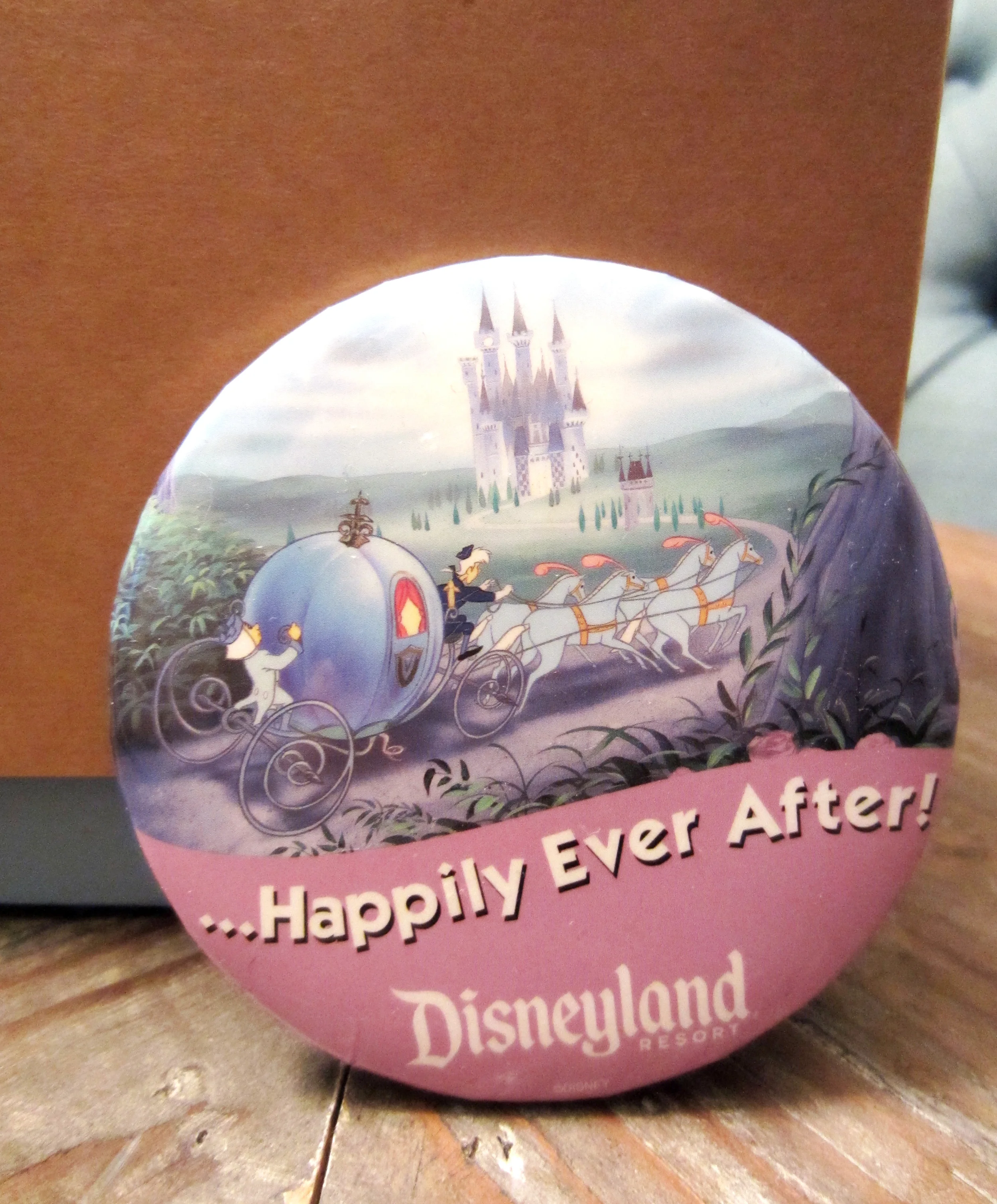 When we told a Cast Member at the World of Disney store that we were celebrating our 1 year anniversary, she brought out 2 of these pins for us to wear! It was so nice of her, and we loved sporting them around the parks. 