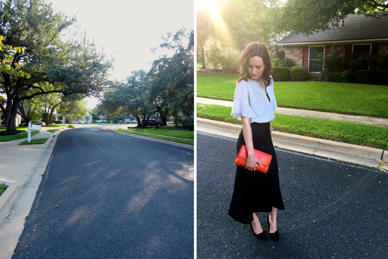 Dalmatian Plantation