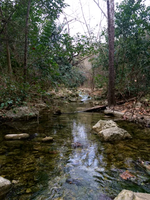 I love listening to the sounds of a rippling creek. If it hadn't been so chilly outside, I probably would have jumped in!