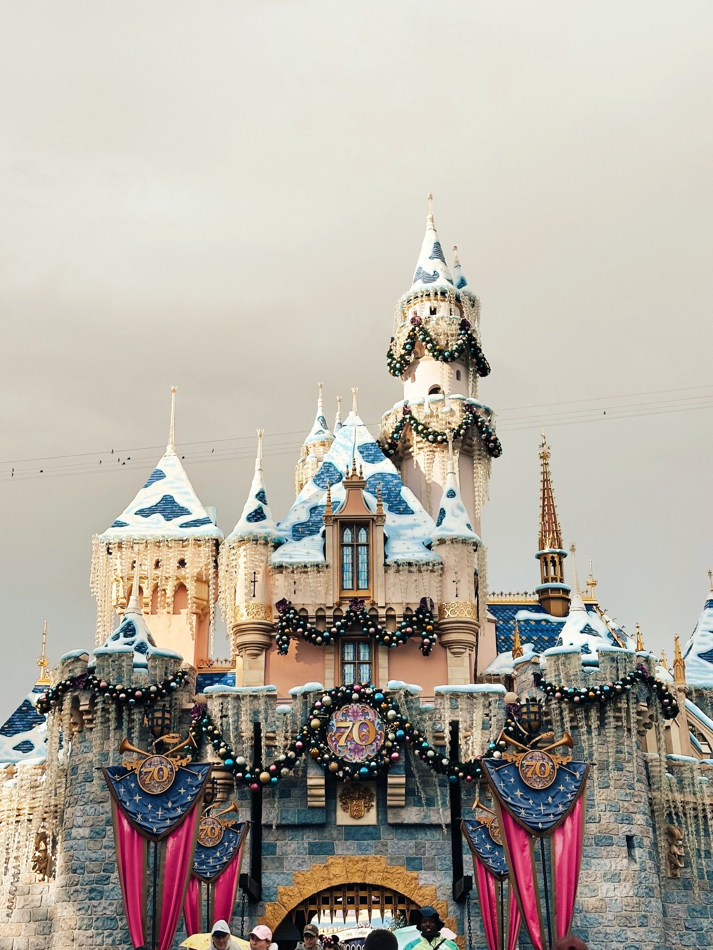 making spirits bright @disneyland 🎄✨ we had so much fun playing in the rain at the merriest place on earth this past weekend! ponchos were the real ones for saving our soggy butts 😂 

#disneylandchristmas #christmasatdisneyland #christmasdisney #ho