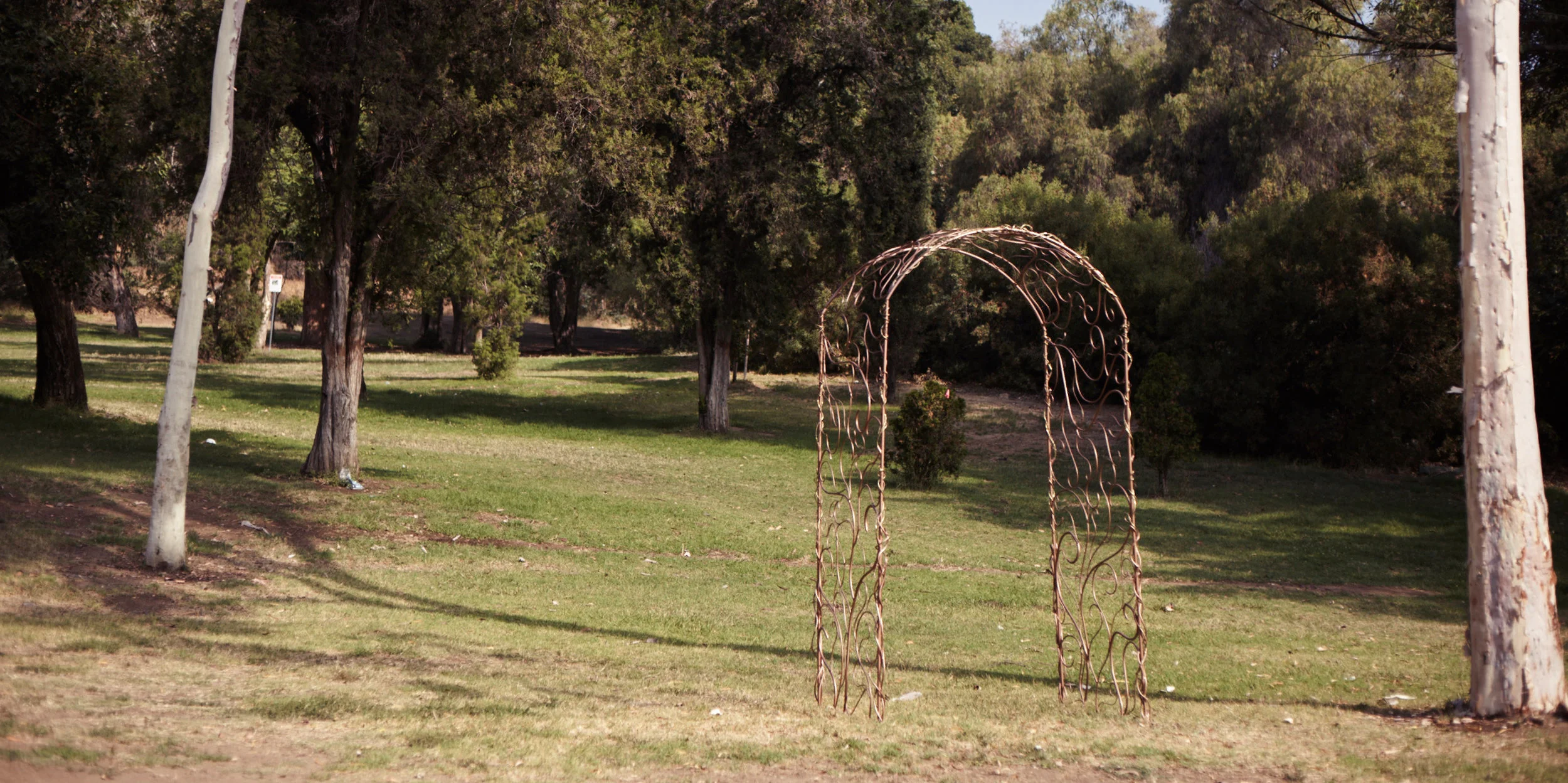 Wedding Arch