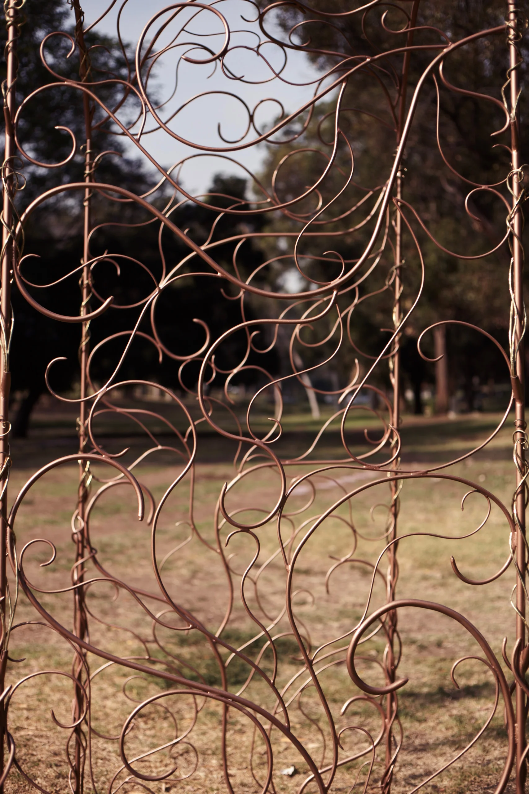 Wedding Arch