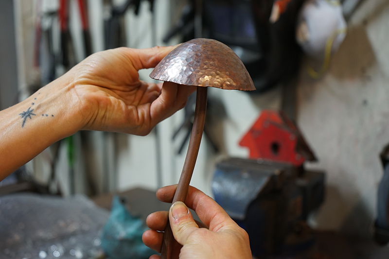 mushroom-wb.jpg