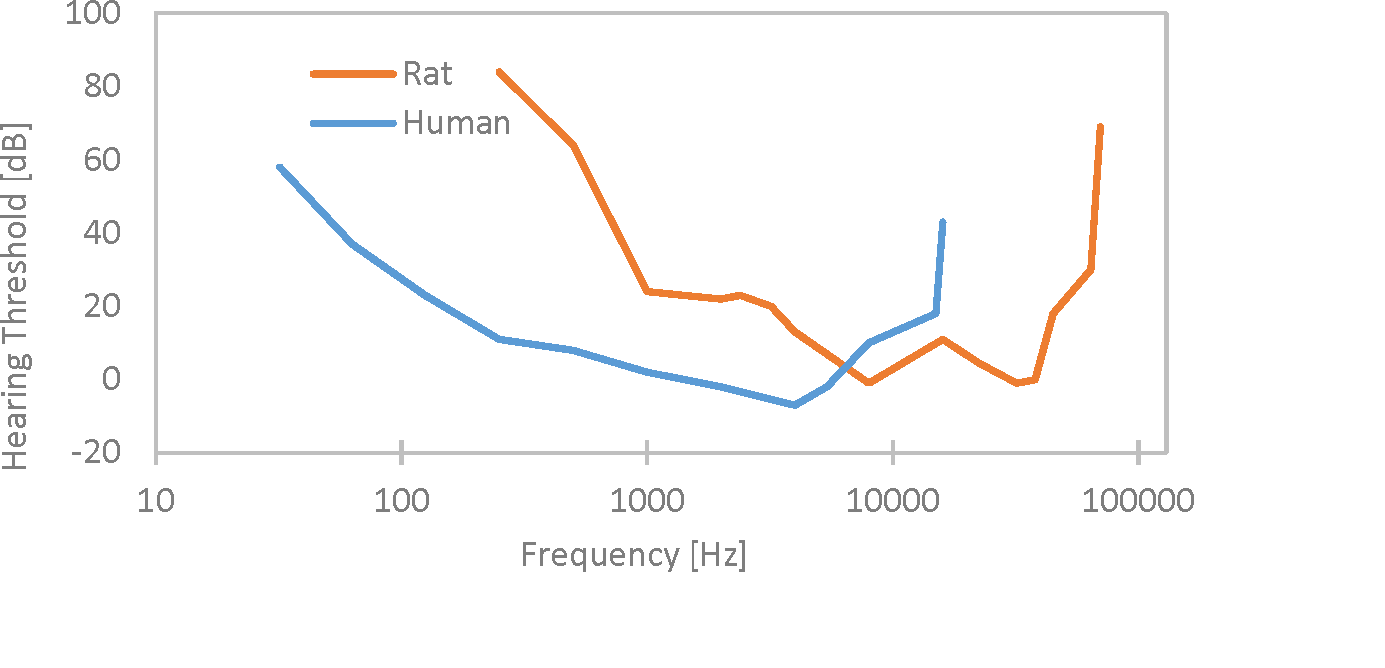A quick human-vs-rodent hearing comparison — Vibrasure | Vibration +  Acoustical Consulting