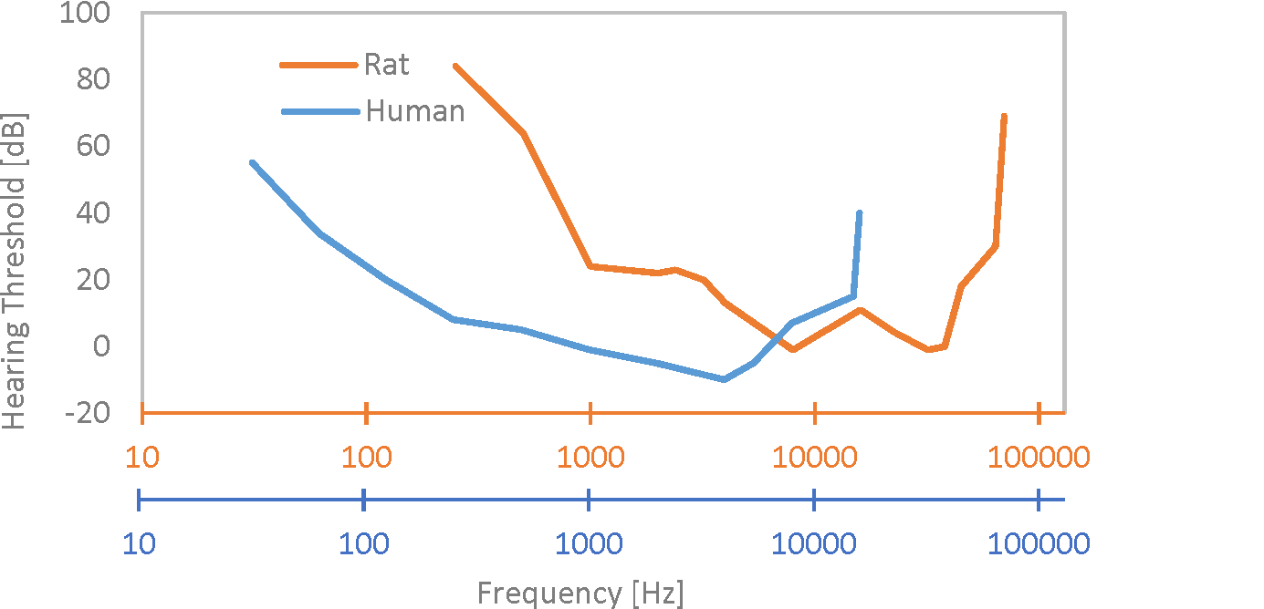 A quick human-vs-rodent hearing comparison — Vibrasure | Vibration +  Acoustical Consulting