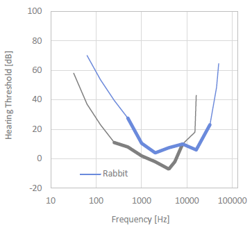 Rabbit Hearing Threshold