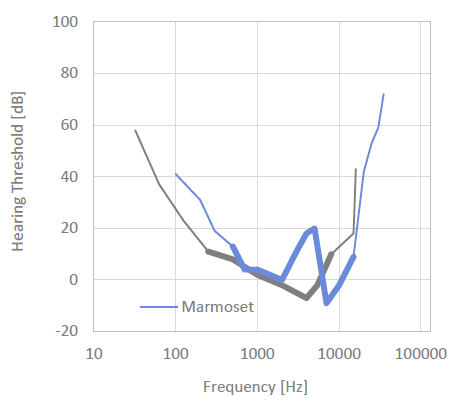 Mamoset Hearing Threshhold