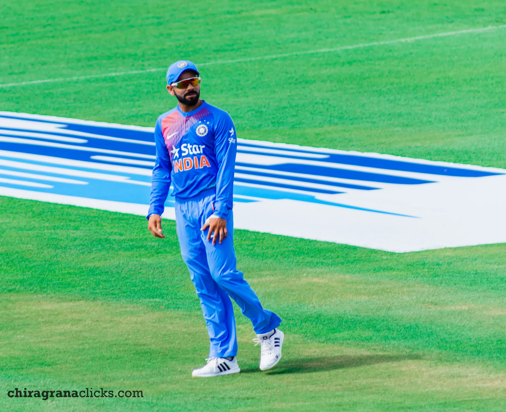 IMG_8273.jpg