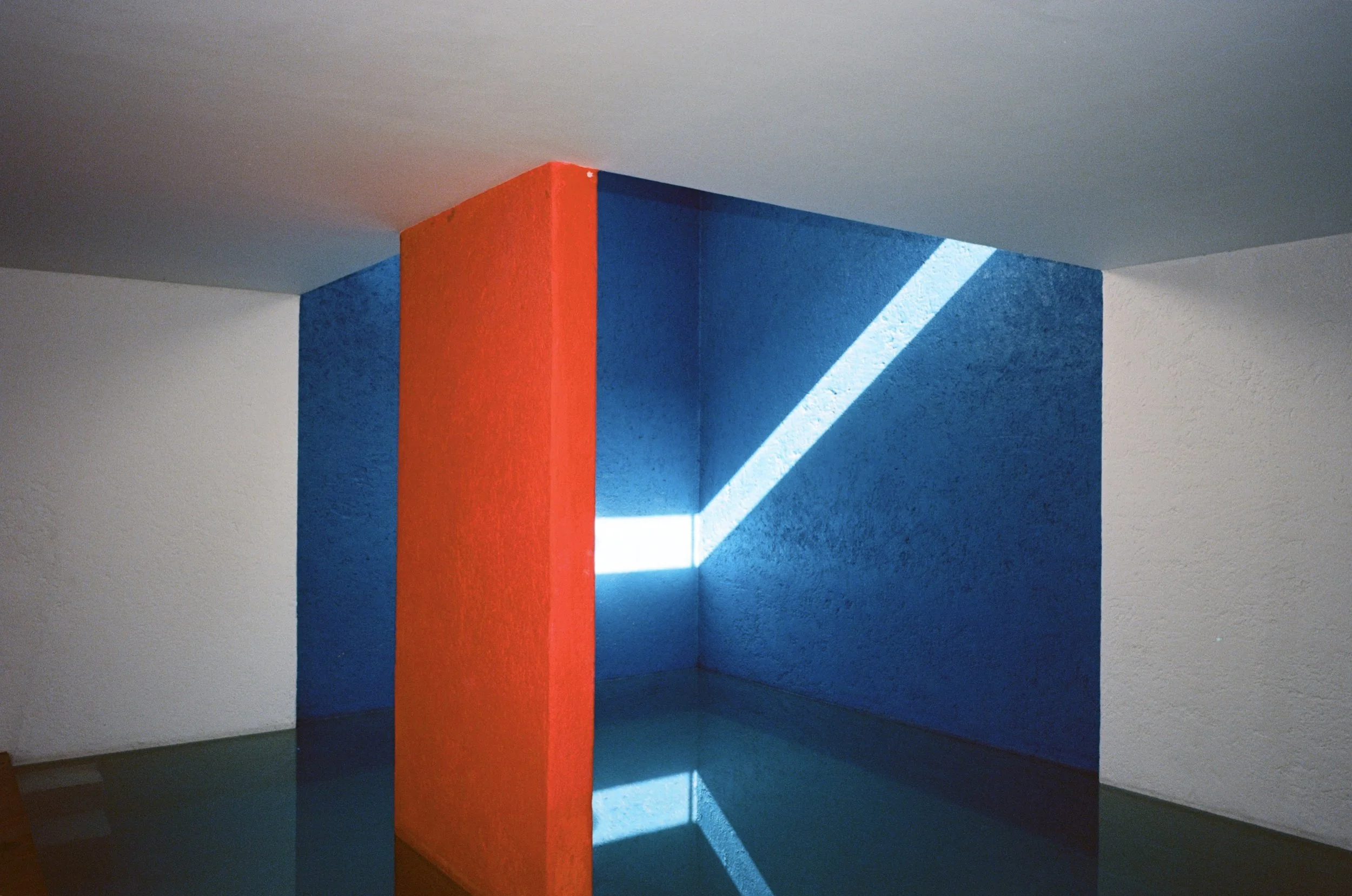 Photo Feb 13, 12 46 19 PM.jpg