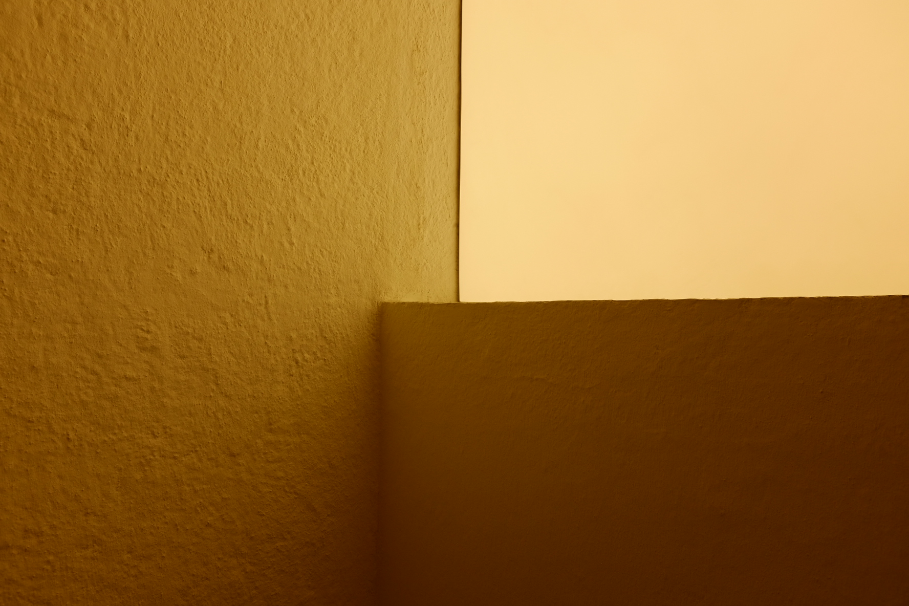 Photo Feb 06, 1 00 06 PM.jpg