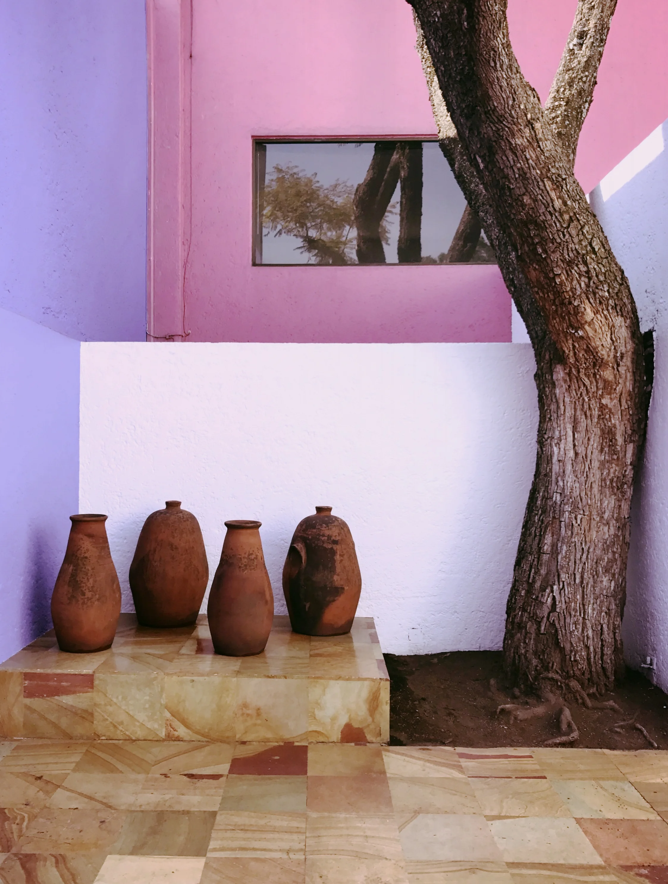 Photo Feb 08, 8 03 14 AM.jpg