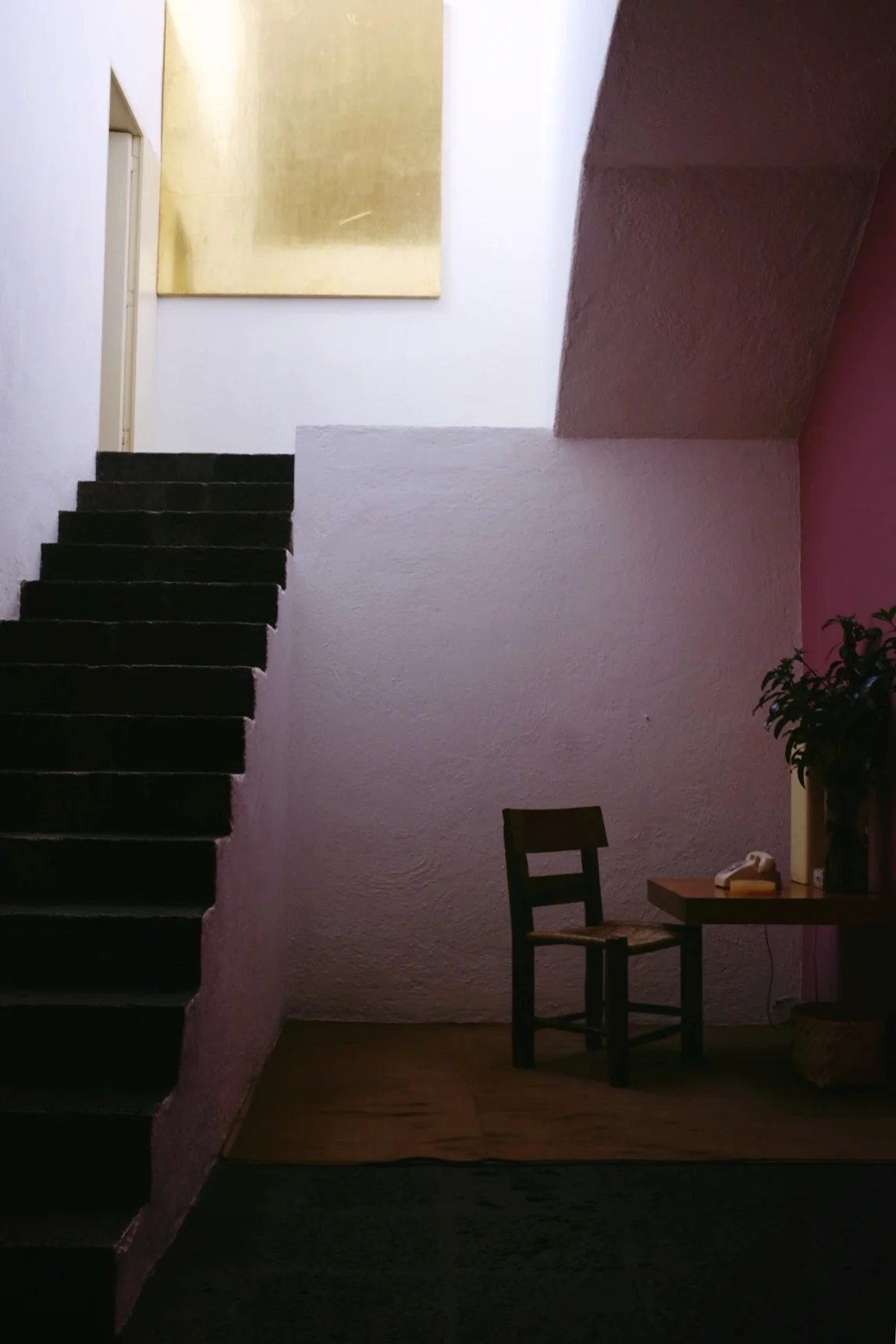 Photo Feb 06, 12 15 20 PM.jpg