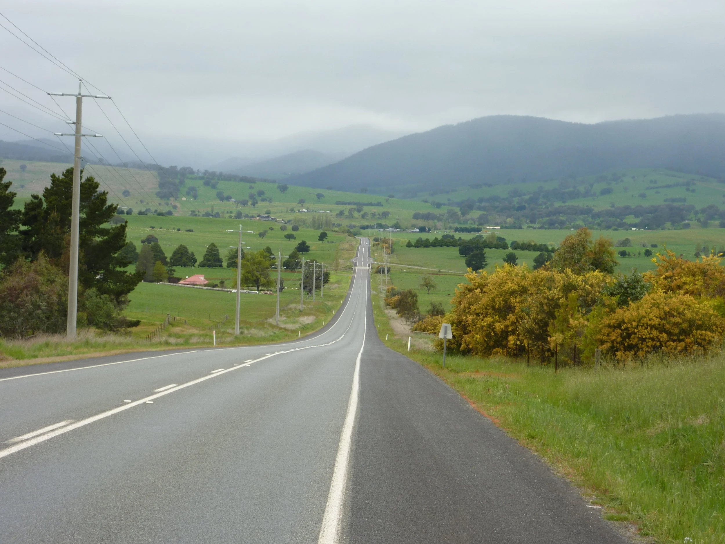 Road to Mount Buller