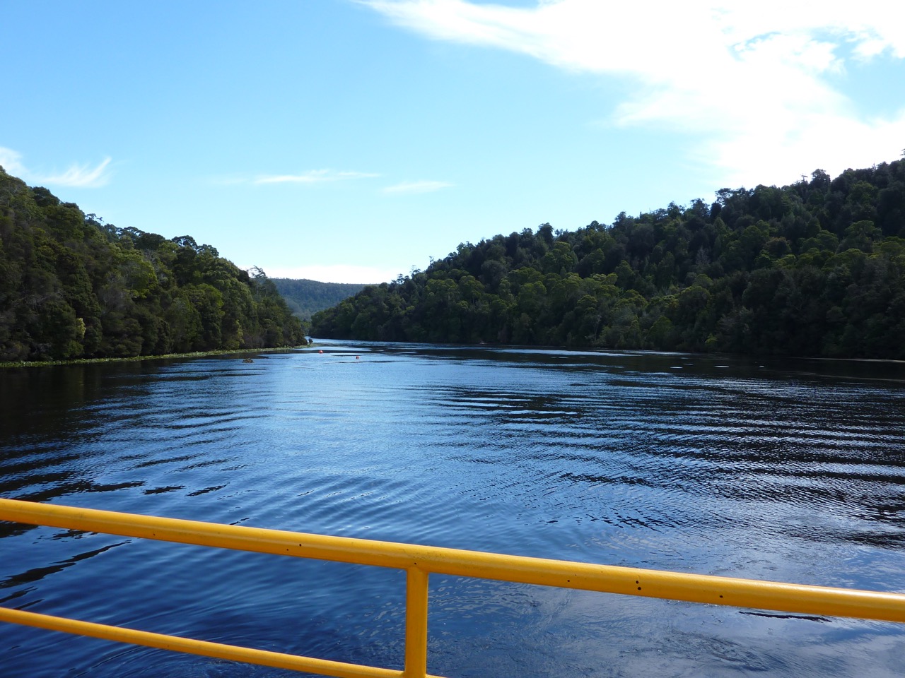 Looking out across the Pieman river.jpg