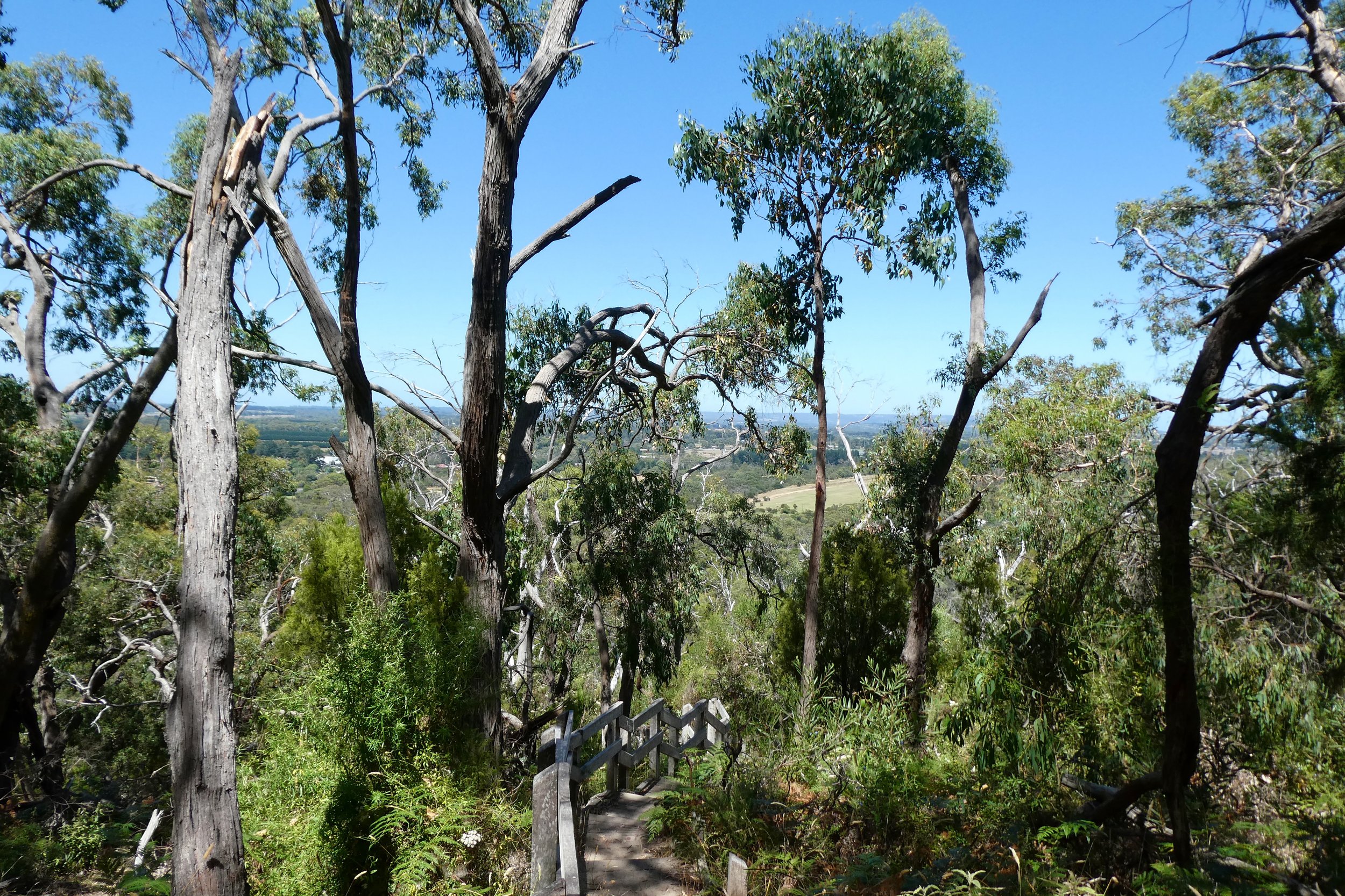 Moorooduc Quarry — Girt By