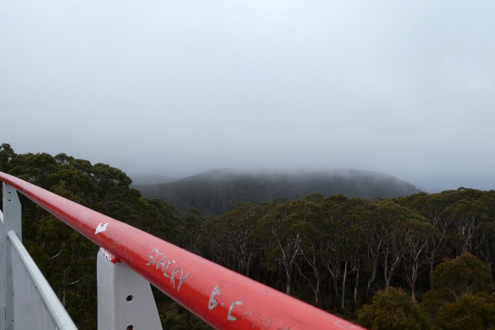 Mount Donna Buang top of lookout-Panasonic-07.jpeg