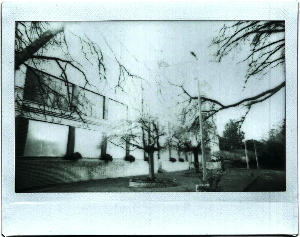 Warburton Instax-04 BW.jpeg