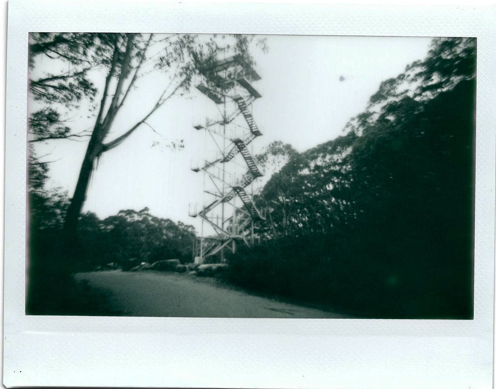 Mount Donna Buang Instax-01 BW.jpeg