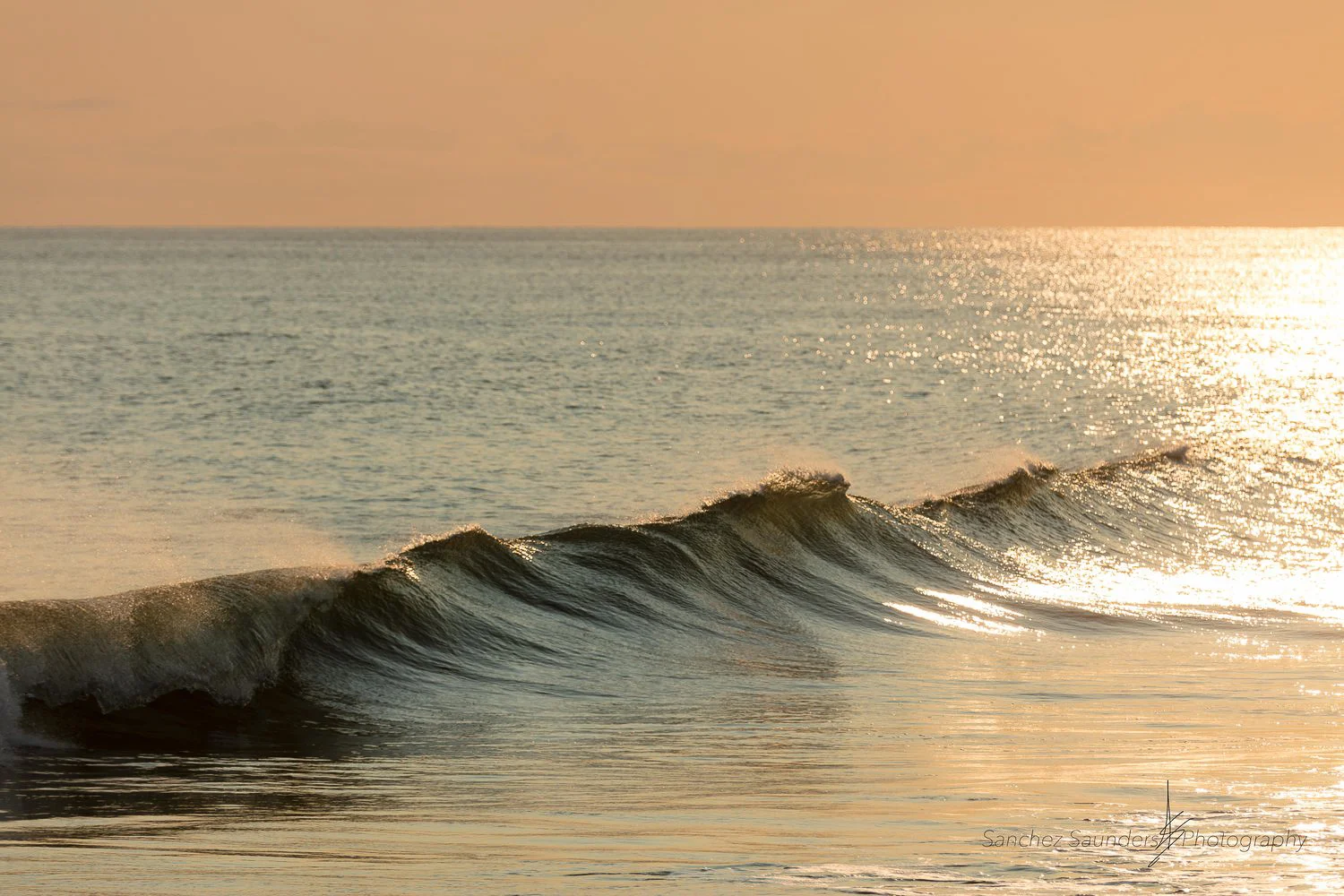 Golden Surf