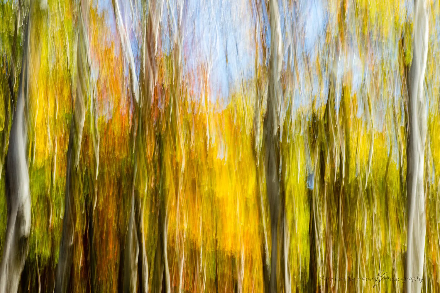 Brush Strokes Of Autumn