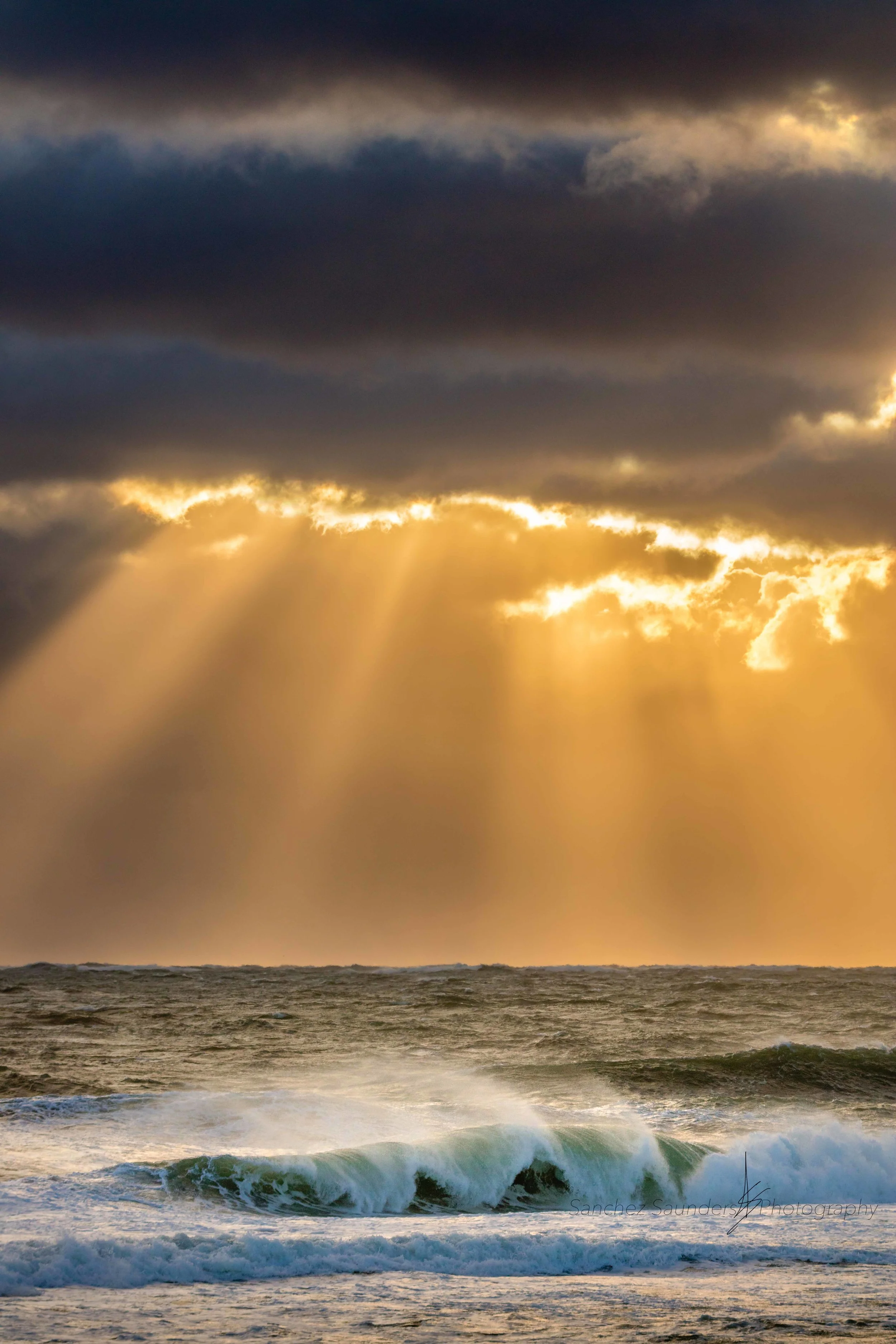 Golden Rays