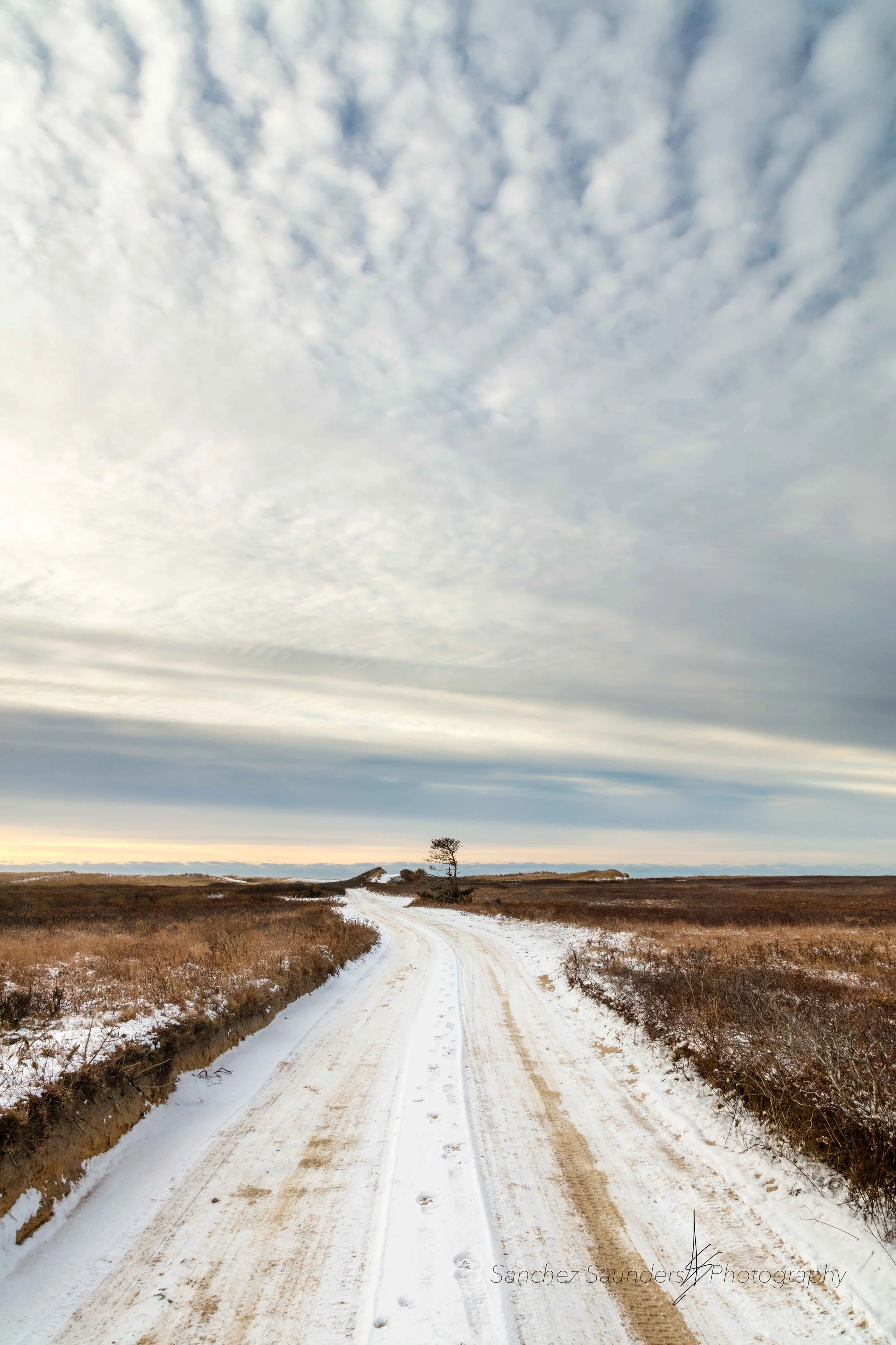 Beach Road In Winter #1