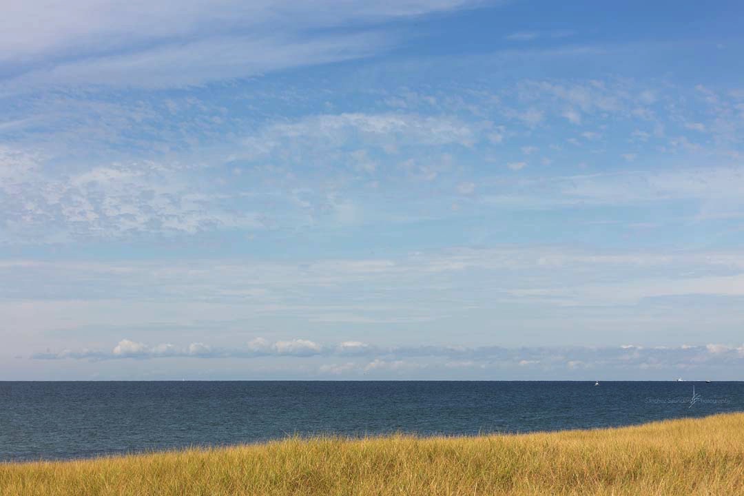 Summer Blues