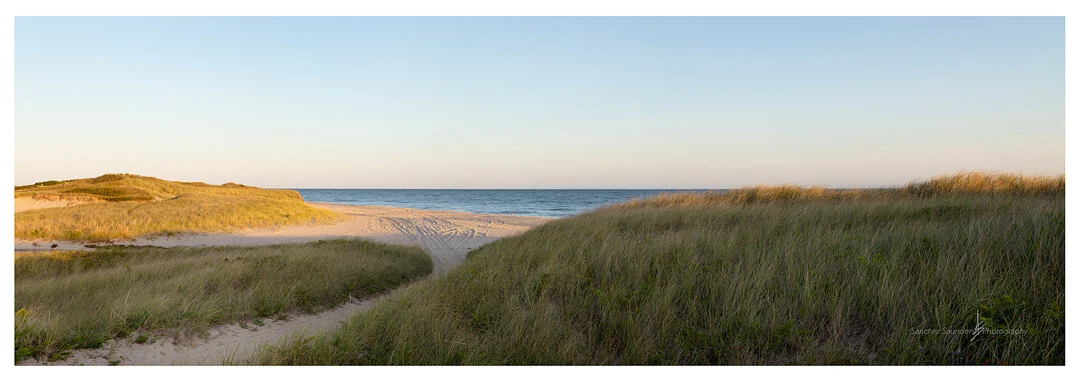 Miacomet Dunes