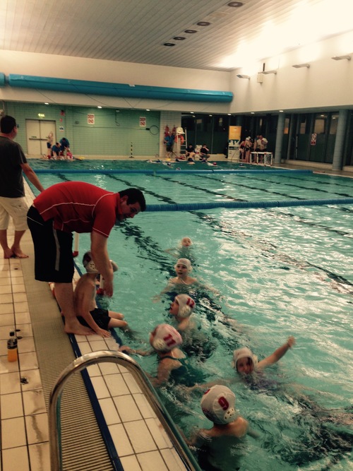 Xmas mini and maxi polo leagues start this Friday