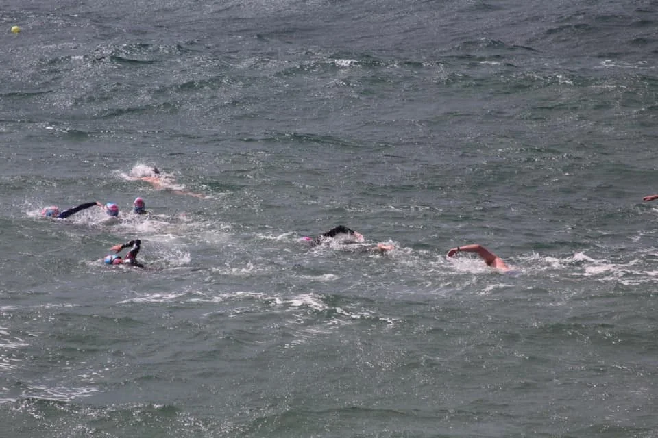 Open Water 2019